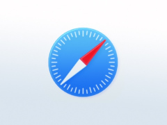 43 → 99：苹果回顾 Interop 2025 项目，Safari 浏览器兼容性增幅最大