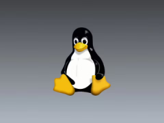 林纳斯 · 托瓦兹亲自敲定的 Linux 吉祥物“Tux 企鹅”，迎来 30 岁生日